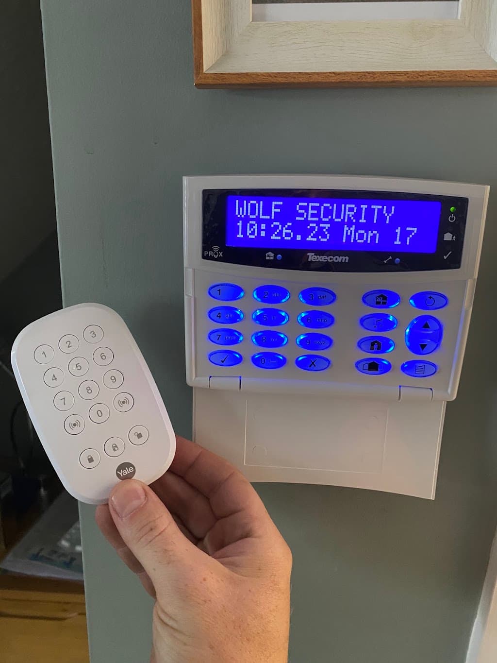 Wolf Security Systems Ltd