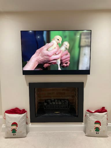 North East TV & Wallmount — Customer photo