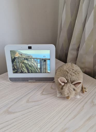 On Call Security — Customer photo